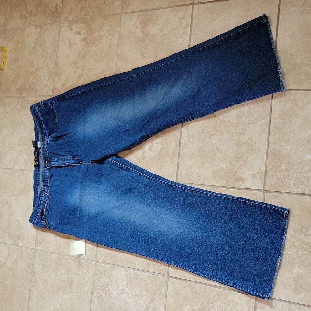 10. Baby Phat Jean's Plus Size 22 Women's